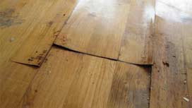 Your hardwood floor is water damaged – can you tell? | {COMPANY_NAME} Your hardwood floor is water damaged – can you tell? | {COMPANY_NAME}